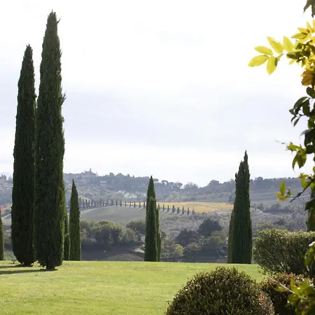Delle Vigne San Venanzo