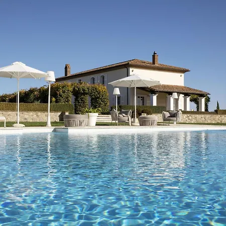 Delle Vigne