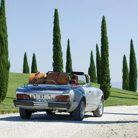 Delle Vigne San Venanzo